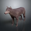 Gray Dog in Standing Position with Realistic 3D Model and Gradient Background