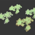 Colorful Decorative Trees With Pink White Purple Orange Foliage On Dark Background