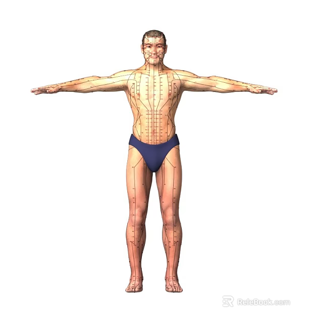 Man in Blue Briefs with Arms Outstretched Showing Body Meridian Lines and Acupressure Points 3d model 
