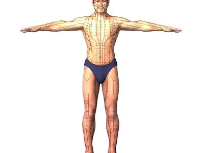Man in Blue Briefs with Arms Outstretched Showing Body Meridian Lines and Acupressure Points 3d model