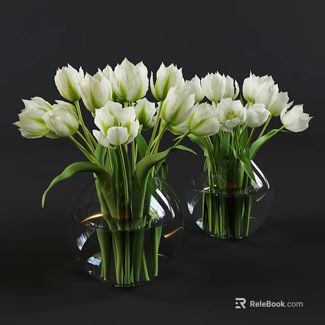 White Tulips Arranged In Transparent Glass Vases With Water On Dark Background 3d model 