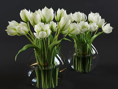 White Tulips Arranged In Transparent Glass Vases With Water On Dark Background 3d model