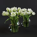 White Tulips Arranged In Transparent Glass Vases With Water On Dark Background