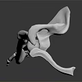 Detailed 3D Anatomical Human Arm Skeletal Model For Medical Education And Training