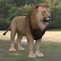 Majestic Lion Standing On Grassy Field With Lush Green Tree Background