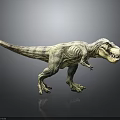 Realistic Tyrannosaurus Rex Dinosaur Model in Standing Posture With Sharp Teeth 3d model