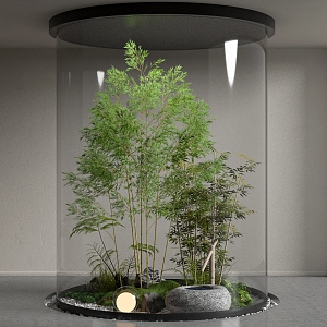 Indoor plants landscaping bamboo stone 3d model