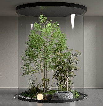 Indoor plants landscaping bamboo stone 3d model