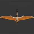 Pterosaur 3D Model With Large Orange Wings Spread On Dark Surface Showing Reflection