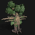 Mystical Tree Creature Character With Humanoid Form Green Foliage And Extended Arms