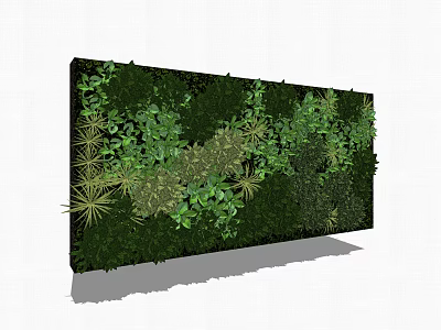 Lush Living Plant Wall with Various Green Foliage for Indoor Decoration 3d model