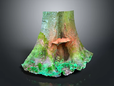 Natural Tree Stump With Green Moss And Orange Accents On Mossy Base 3d model
