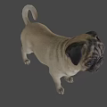 Pug Game Movie Character 3D Model Standing Pose In Light Blue Background