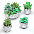 Multiple Silver Textured Vases With Different Succulent Plant Varieties And Green Foliage