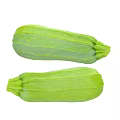 Two Fresh Green Zucchini Vegetables With Striped Skin On White Background