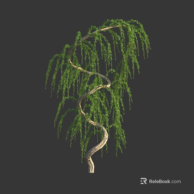 Spiral Trunk Arbor With Hanging Green Branches And Natural Foliage 3d model 