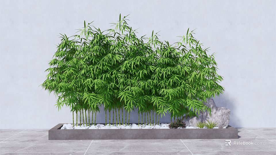Lush Green Bamboo Planted in Rectangular Concrete Planter with White Pebbles Against Grey Wall Background 3d model 