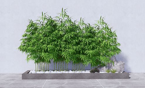 Modern bamboo indoor green bamboo flower bed flower box bamboo 3d model