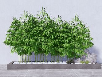 Modern bamboo indoor green bamboo flower bed flower box bamboo 3d model