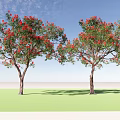 Two Flowering Trees With Brown Trunks Red Flowers Green Leaves Under Blue Sky
