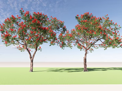 Two Flowering Trees With Brown Trunks Red Flowers Green Leaves Under Blue Sky 3d model