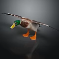 Realistic Duck With Green Head Brown Body Orange Webbed Feet And Spread Wings