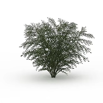 Park Fruit Trees 3d model