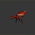 Red Crab With Vibrant Red Shell And Large Claws On Gray Background Showcasing Details