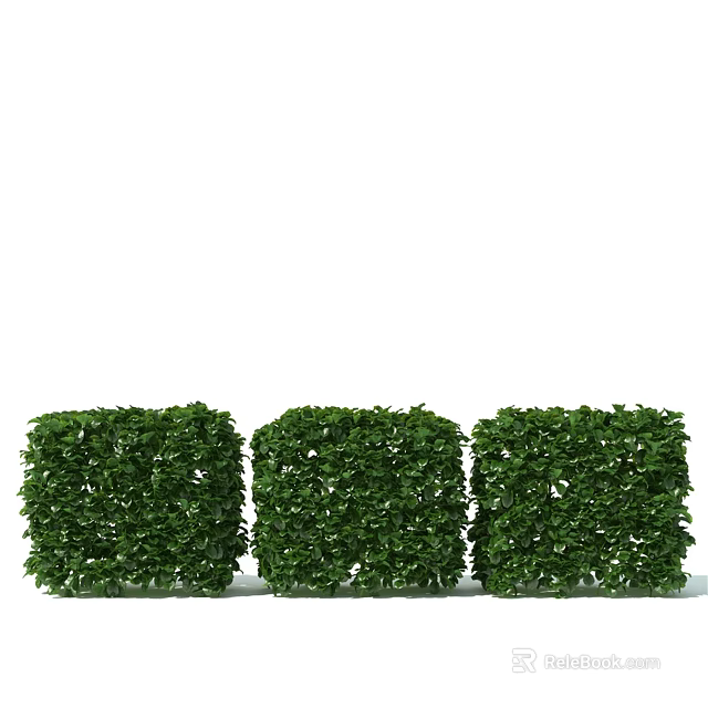 Three Green Cube Shaped Bushes For Outdoor Garden Landscaping Design 3d model 