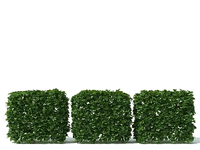 Three Green Cube Shaped Bushes For Outdoor Garden Landscaping Design 3d model