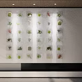 Indoor Wall Grid Small Compartments With Various Green Decorative Plants 3d model