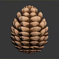 Copper Colored Pinecone A Natural Botanical Element With Intricate Texture On Dark Background