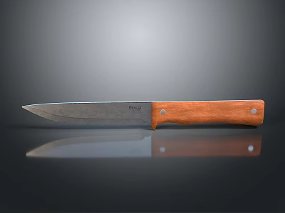 Shiny Metal Blade Kitchen Knife With Brown Wooden Handle And Rivets 3d model