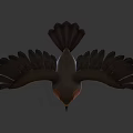 Realistic 3D Bird Model With Brown Feathered Wings Red Chest White Belly And Open Wings