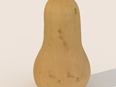 Fresh Yellow Butternut Squash With Smooth Surface And Long Shape 3d model