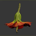 Red Flower With Red Petals And Yellow Center And Small Figure On Gray Background