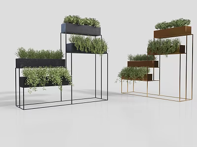 Bonsai Potted Plants On Modern Multi Tiered Metal Stands With Black And Gold Frames 3d model