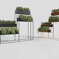Bonsai Potted Plants On Modern Multi Tiered Metal Stands With Black And Gold Frames