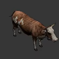 Brown And White Cow With Horns Standing On Gray Background