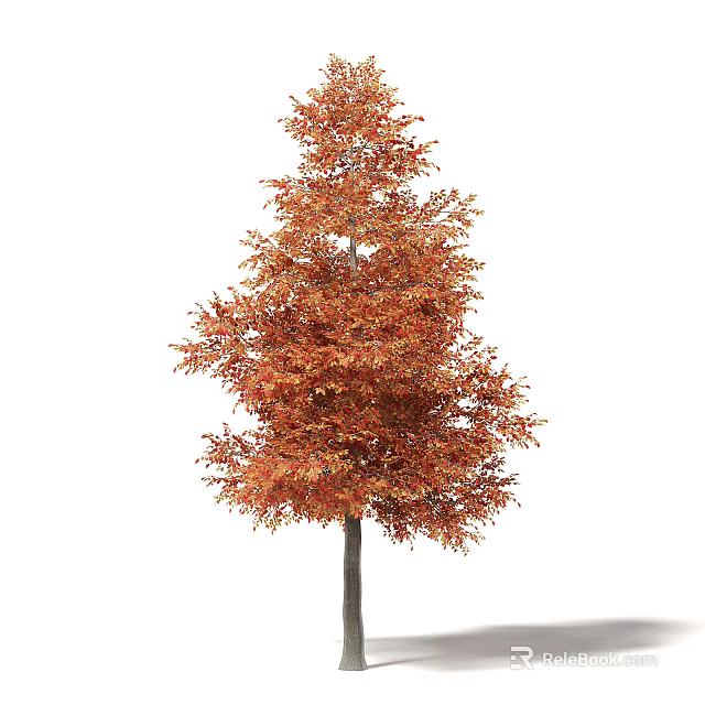 Vibrant Deciduous Tree With Orange And Red Autumn Foliage And Lush Crown 3d model 