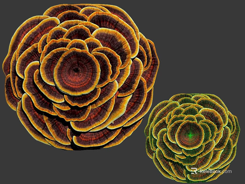 Vibrant Ground Cover With Layered Rosette Shapes In Orange Brown And Green 3d model 