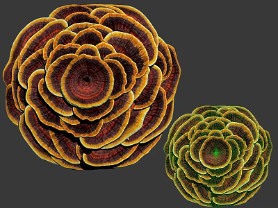 Vibrant Ground Cover With Layered Rosette Shapes In Orange Brown And Green 3d model