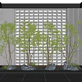 Modern Tree Courtyard Small Tree Scattered Tree 3d model