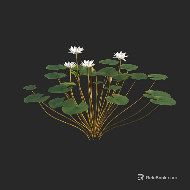 White Water Lilies With Green Leaves Floating On Calm Water Surface 3d model 