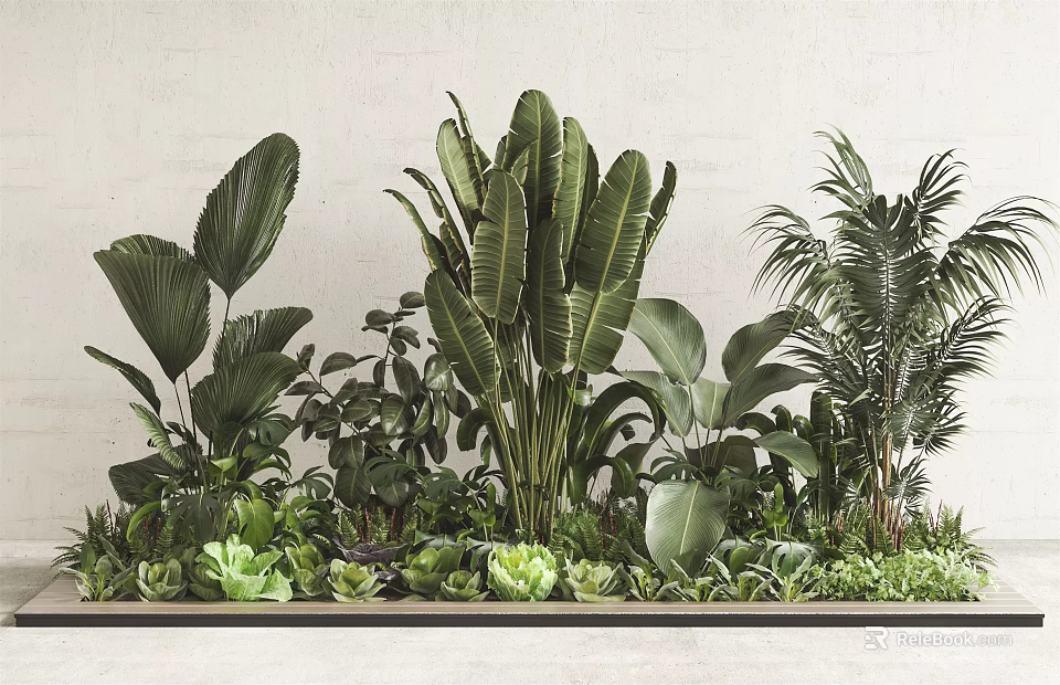 Indoor Green Plants with Large Leaves and Succulents for Modern Wall Decoration and Natural Ambiance 3d model 