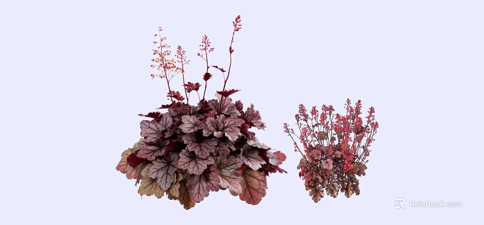 Vibrant Garden Shrubs With Red And Purple Leaves And Pink Flowers For Landscaping 3d model 