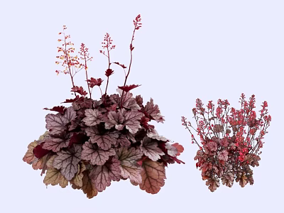 Vibrant Garden Shrubs With Red And Purple Leaves And Pink Flowers For Landscaping 3d model