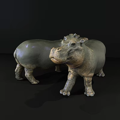 Modern Hippo 3d model Modern Hippo 3d model