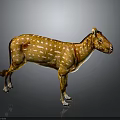 Spotted Deer With Brown Body And White Spots Standing On Dark Background With Reflection