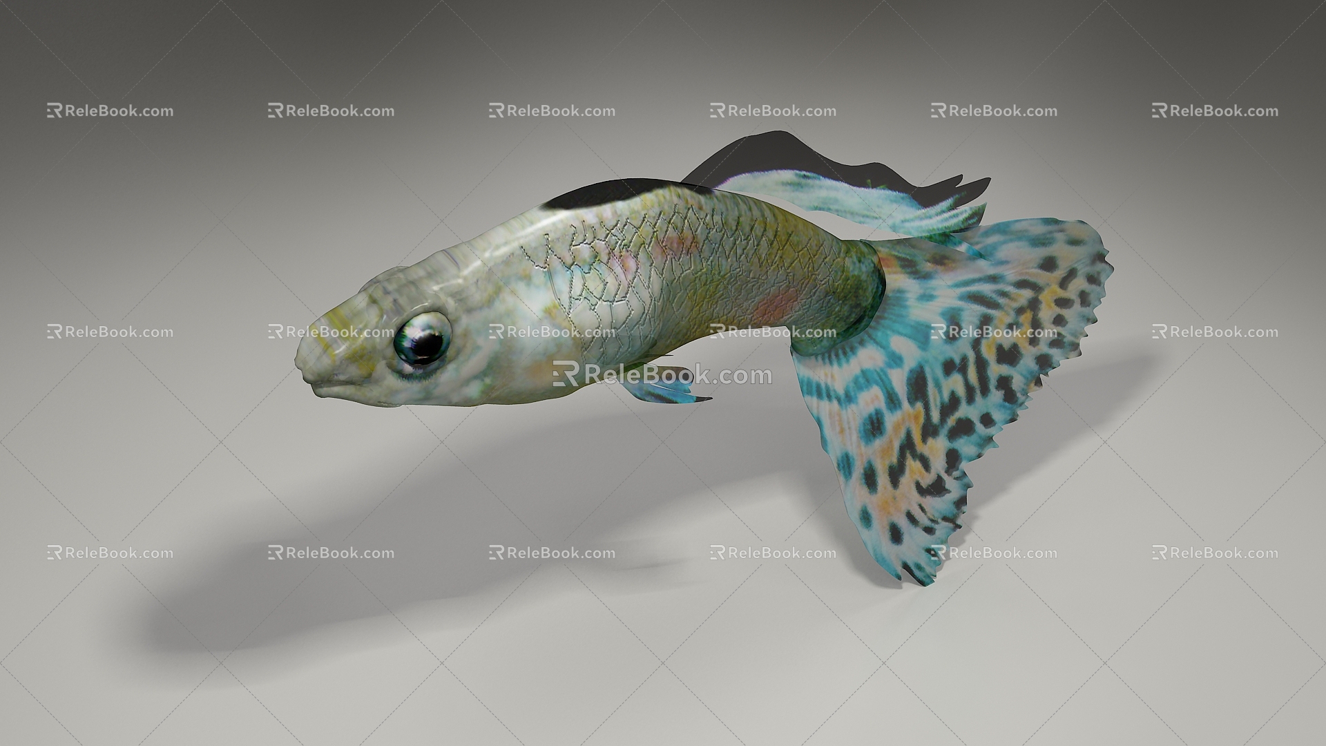 Modern Fish 3d model